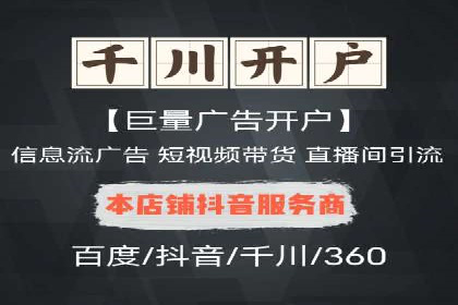 大型企业SEM外包实战案例
